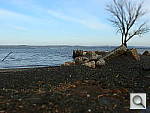 Click to see Y_FX_P4240739.JPG