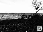 Click to see Y_FX_P4240741.JPG