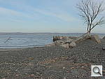 Click to see Y_FX_P4240742.JPG