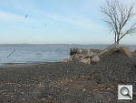 Click to see Y_FX_P4240744.JPG