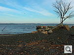 Click to see Y_FX_P4240745.JPG