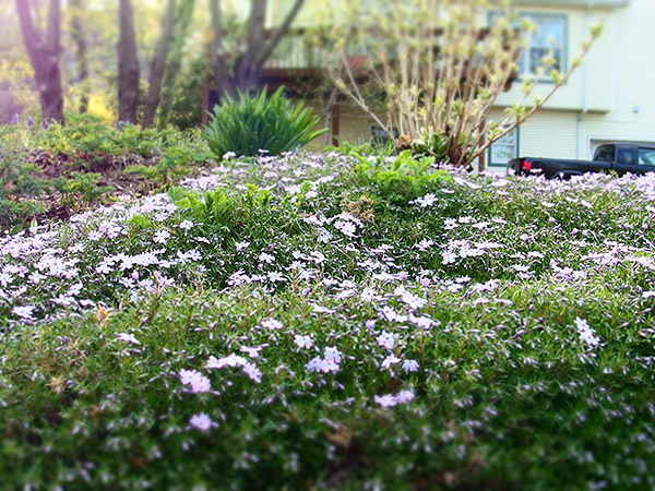 Olympus XZ-2 review: Sample photo