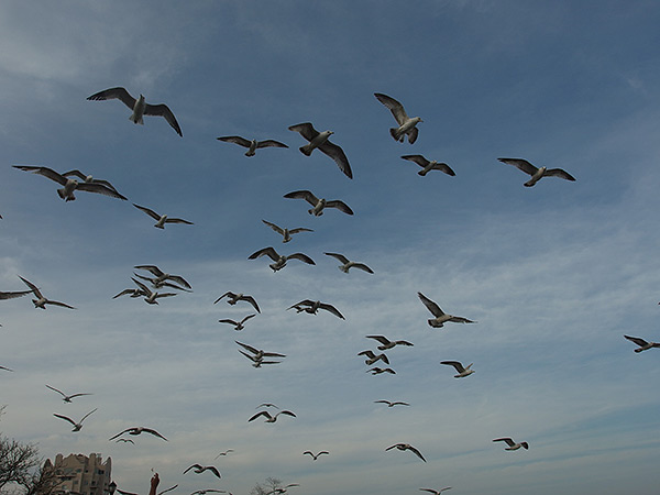 Olympus XZ-2 review: Sample image