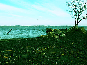 Olympus XZ-2 review: Cross process filter