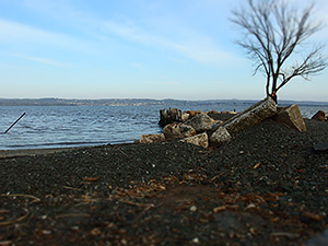 Olympus XZ-2 review: Diorama filter
