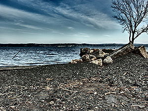 Olympus XZ-2 review: Dramatic Tone filter