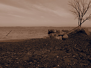 Olympus XZ-2 review: Sepia filter