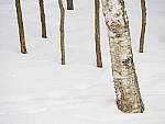 Click to see Y-JG-OM-1-080189-MOD.JPG