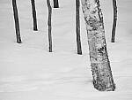Click to see Y-JG-OM-1-080189.JPG