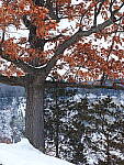Click to see Y-JG-OM-1-080394.JPG