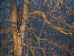 Click to see Y-JG-OM-1-090407-MOD.JPG