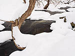 Click to see Y-JG-OM-1-090482-MOD.JPG