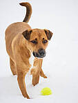 Click to see Y-JG-OM-1-110663-MOD.JPG