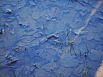 Click to see Y-WB-OM90MM-P1240056.JPG