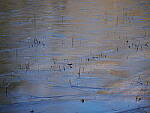 Click to see Y-WB-OM90MM-P1240057.JPG