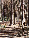 Click to see Y-WB-OM90MM-P1240063.JPG