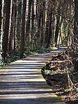 Click to see Y-WB-OM90MM-P1240066.JPG