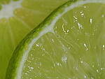Click to see Y-WB-OM90MM-P1240159.JPG