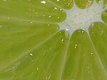 Click to see Y-WB-OM90MM-P1240173.JPG