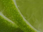 Click to see Y-WB-OM90MM-P1240177.JPG