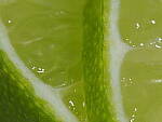 Click to see Y-WB-OM90MM-P1240178.JPG