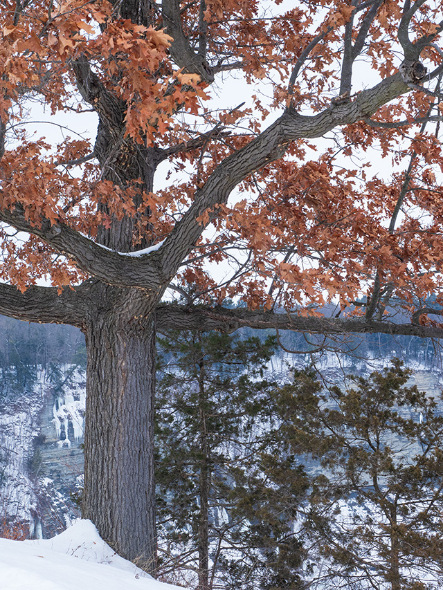 OM System OM-1 Review: Field Test -- Gallery Image