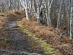 Click to see Y-JG-OM-5-PC020124-MOD.JPG