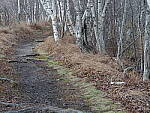 Click to see Y-JG-OM-5-PC020124.JPG