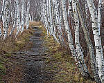 Click to see Y-JG-OM-5-PC020129-MOD.JPG
