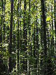Click to see Y-WB-OM5-PA150056.JPG