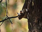 Click to see Y-WB-OM5-PA150122.JPG