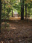 Click to see Y-WB-OM5-PA160195.JPG