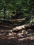 Click to see Y-WB-OM5-PA160211.JPG