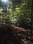 Click to see Y-WB-OM5-PA160213.JPG