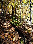 Click to see Y-WB-OM5-PA160254.JPG