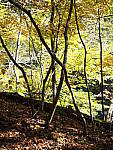 Click to see Y-WB-OM5-PA160264.JPG