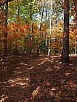 Click to see Y-WB-OM5-PA160319.JPG