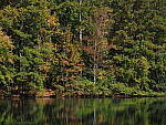 Click to see Y-WB-OM5-PA160340-HighRes.JPG