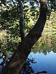 Click to see Y-WB-OM5-PA160359.JPG