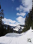 Click to see YP4140026.JPG