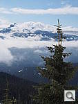Click to see YP4140195.JPG