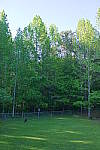 Click to see YP1240048.JPG