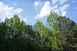 Click to see YP1240059.JPG