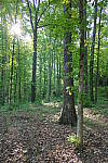 Click to see YP1240084-HDR.JPG