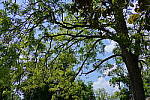 Click to see YP1240146-HDR.JPG