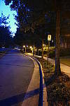 Click to see YP1240175.JPG