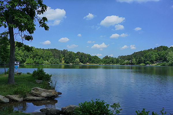 Panasonic CM1 Review -- Sample Image