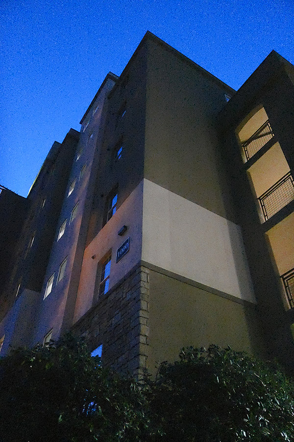 Panasonic CM1 Review -- Sample Image