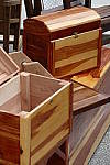Click to see YP1000389.JPG
