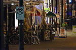 Click to see YP1000711.JPG